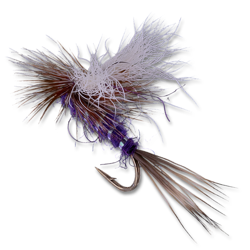 ルアー・フライ Paranoia Puffish Ozark Trail Saltwater Inshore Popper Fishing Lures 2-Pack with