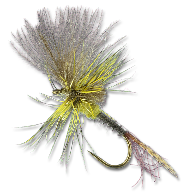 Harrop's Last Chance Cripple