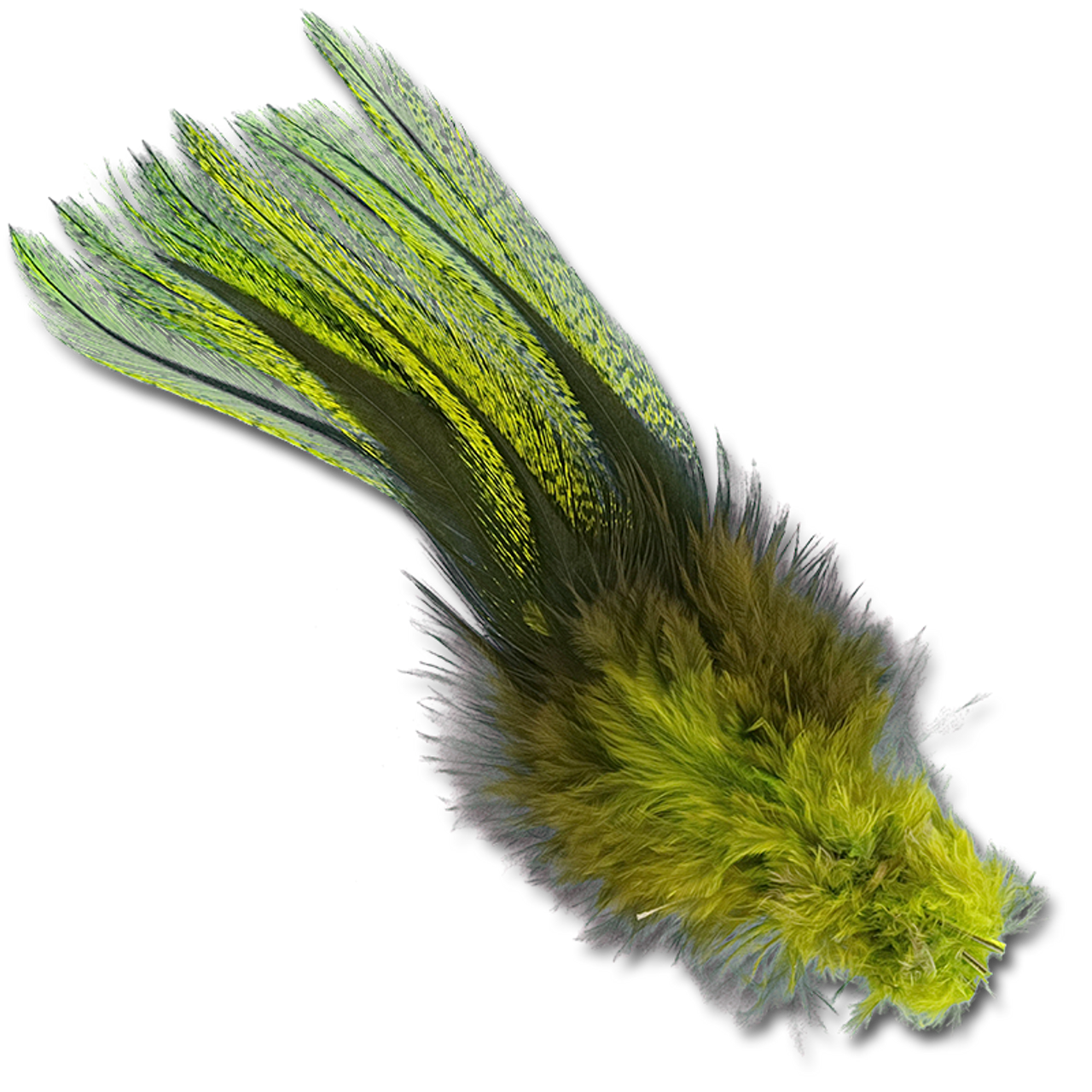 UV2 Coq De Leon Fire Tail Feathers