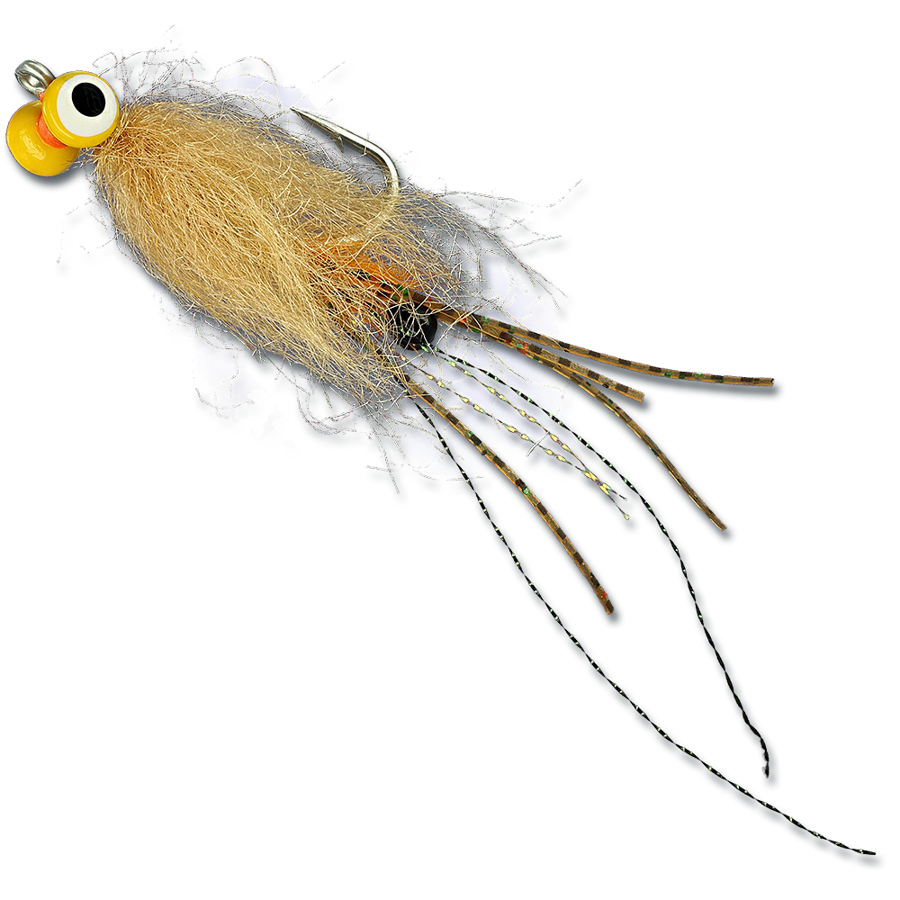 ESB Yellow Eye Spawning Shrimp - #2