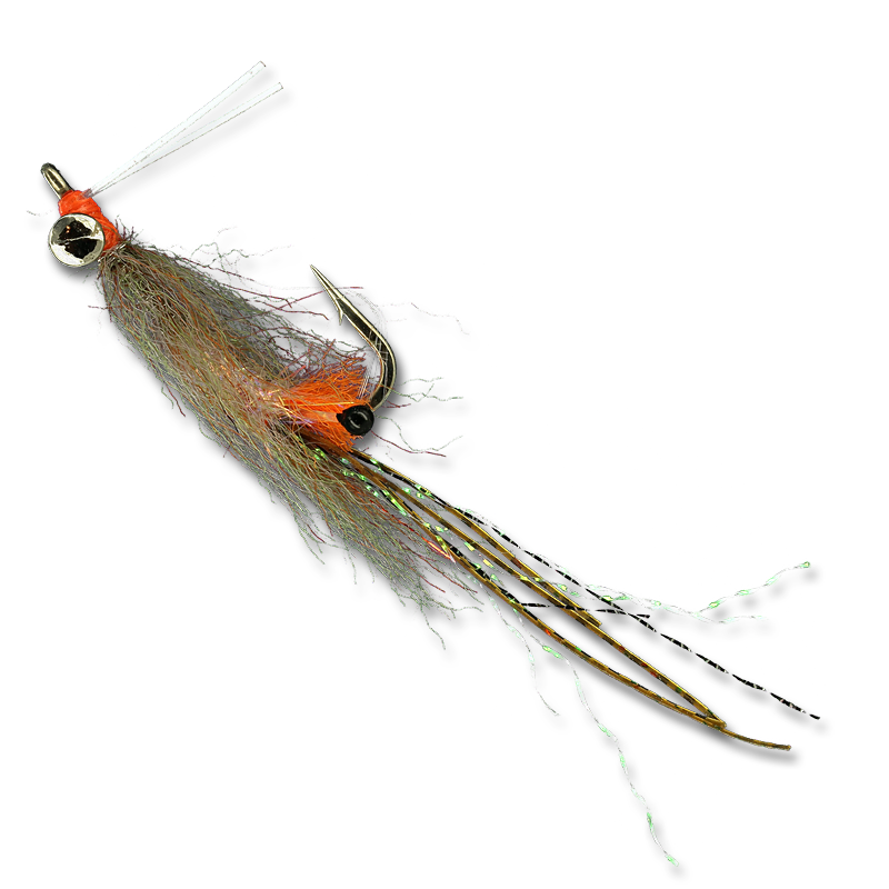 Enrico's Lead Eye Spawning Shrimp - #4