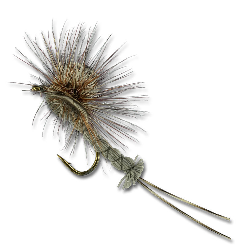 Adams Superfly - #12