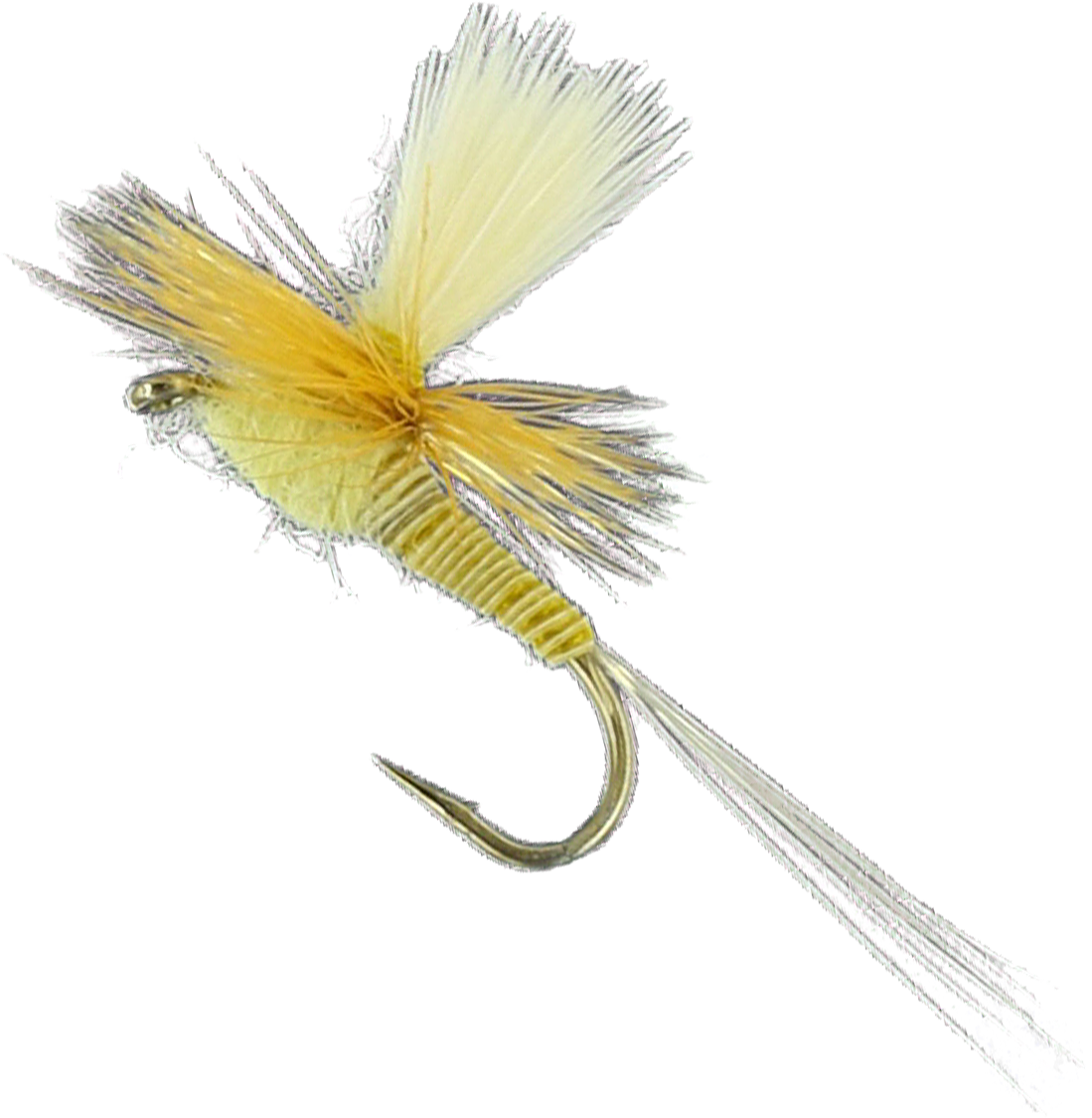 Quill Body - PMD #16