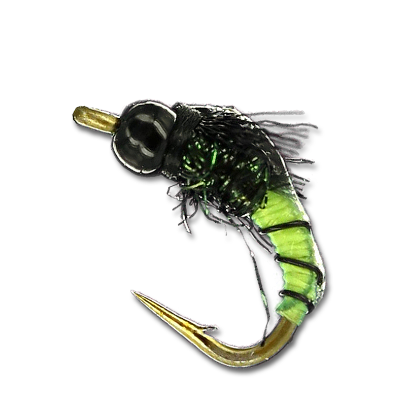 TB Splatte Roller - #16