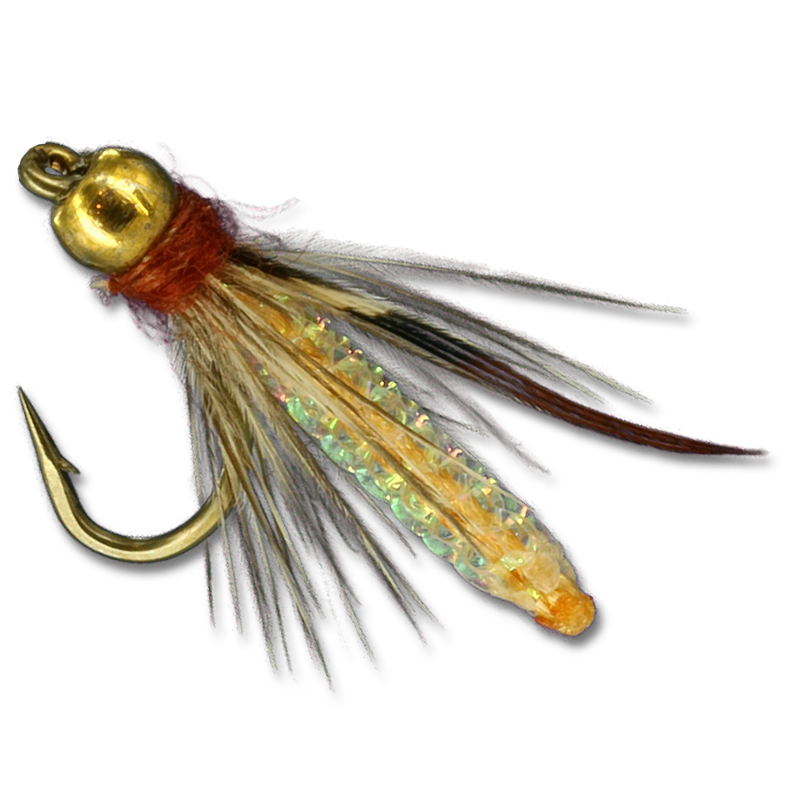 Silvey's Beaded Pupa