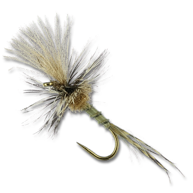 Harrop's Last Chance Cripple