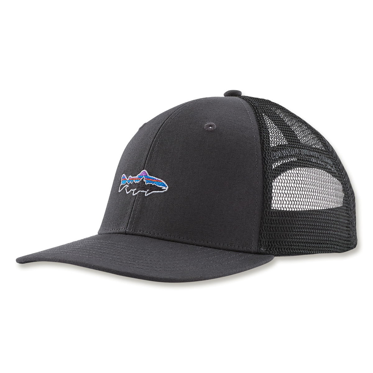 Patagonia Take A Stand Hat