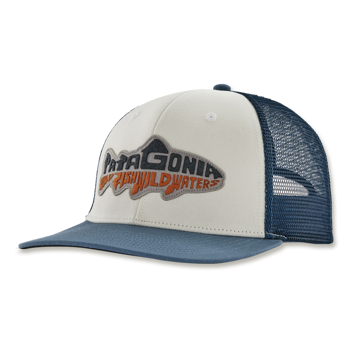 Patagonia Take A Stand Hat