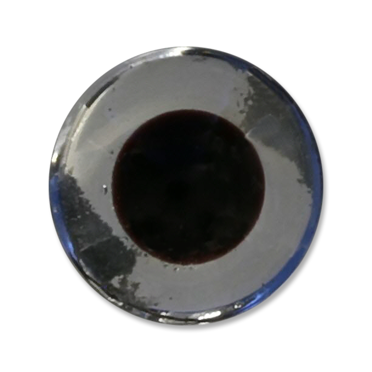 The Fly Shop's Glass Taxi Eyes
