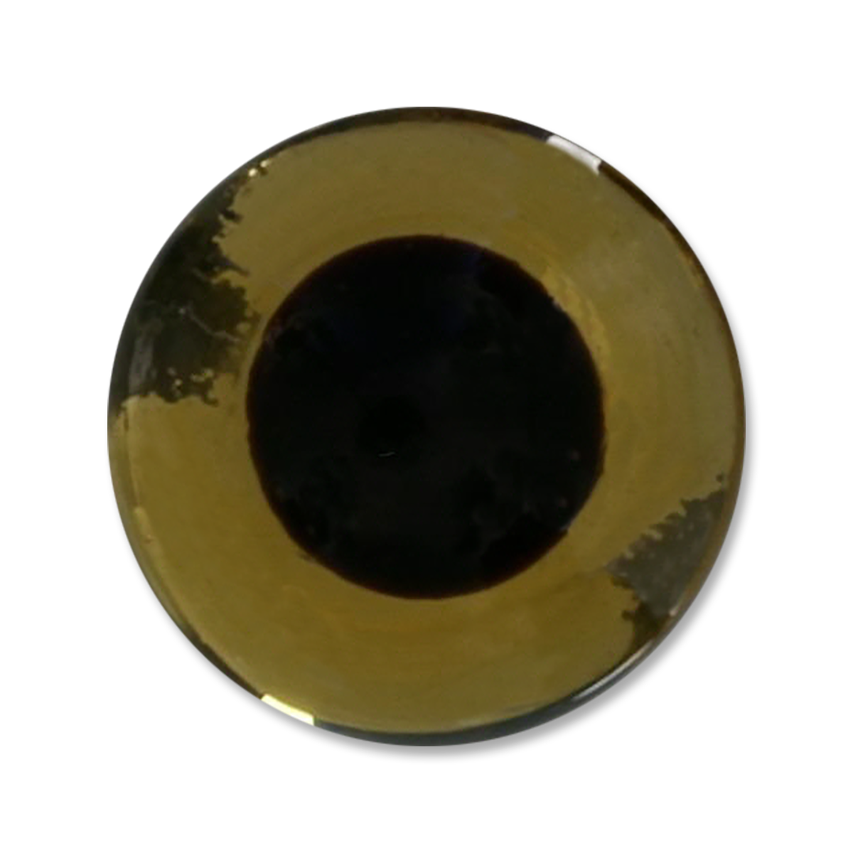 The Fly Shop's Glass Taxi Eyes