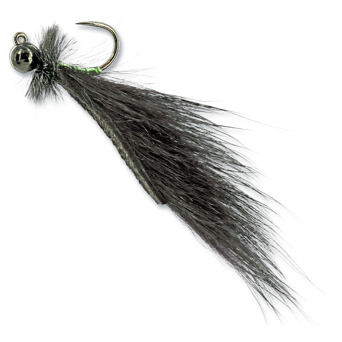 Meyer's Jigged Leech - #16