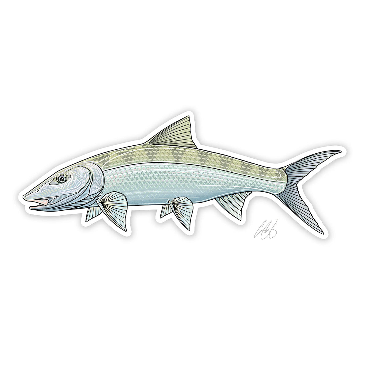 Casey Underwood Fish Decals