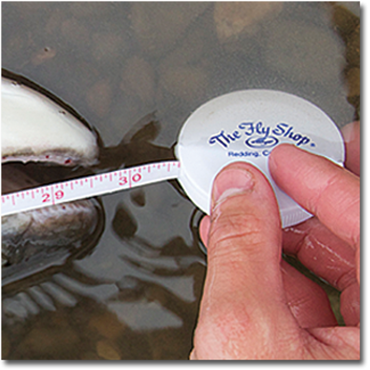 The Fly Shop's Tell Tale Tape