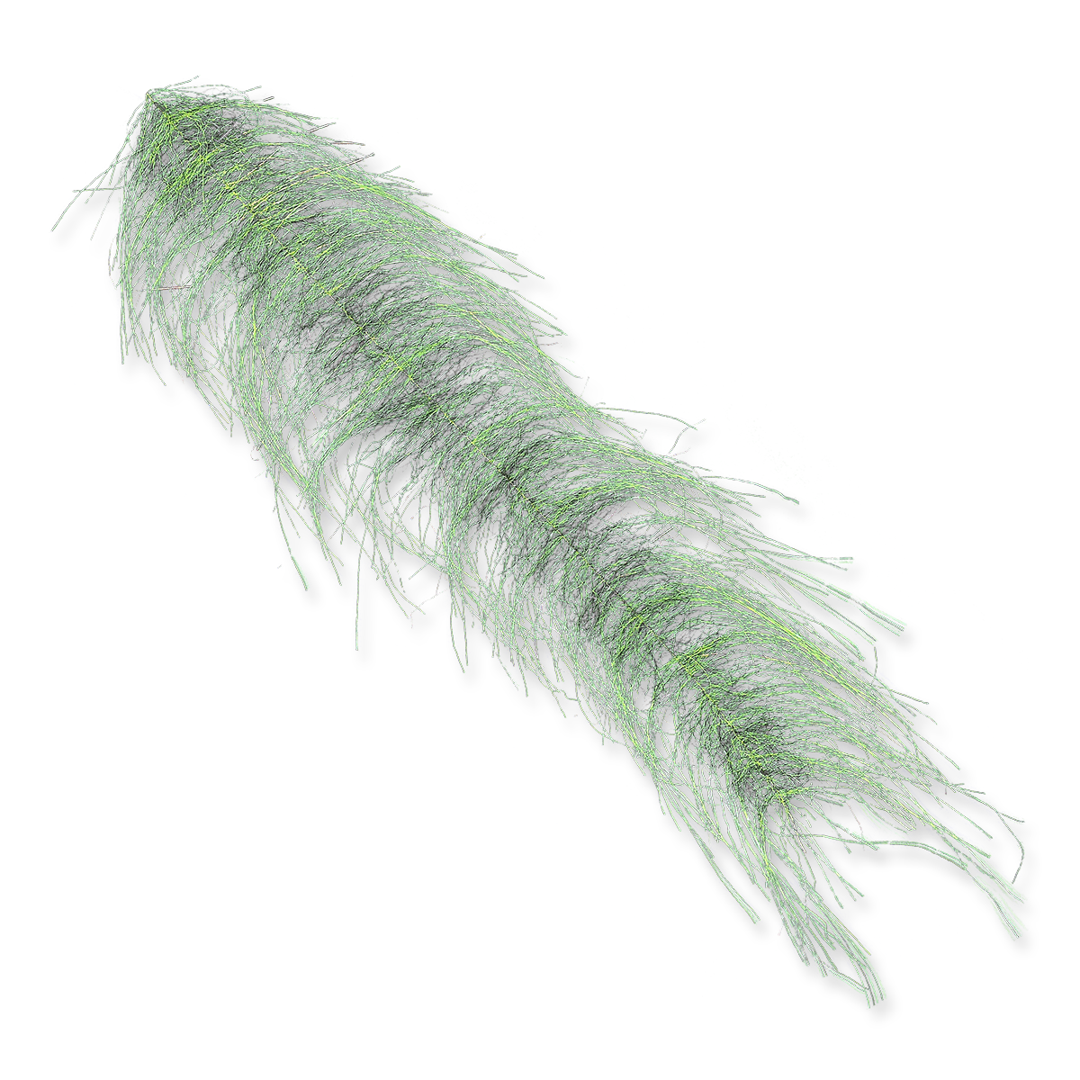 EP Craft Fur Brushes