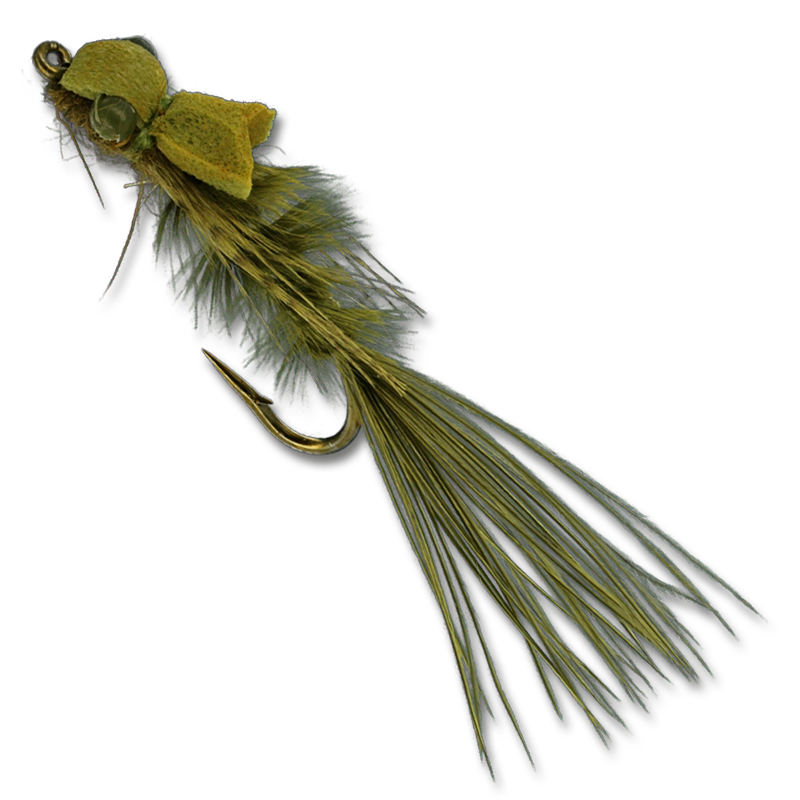 Picky Fish Damsel - Olive #12