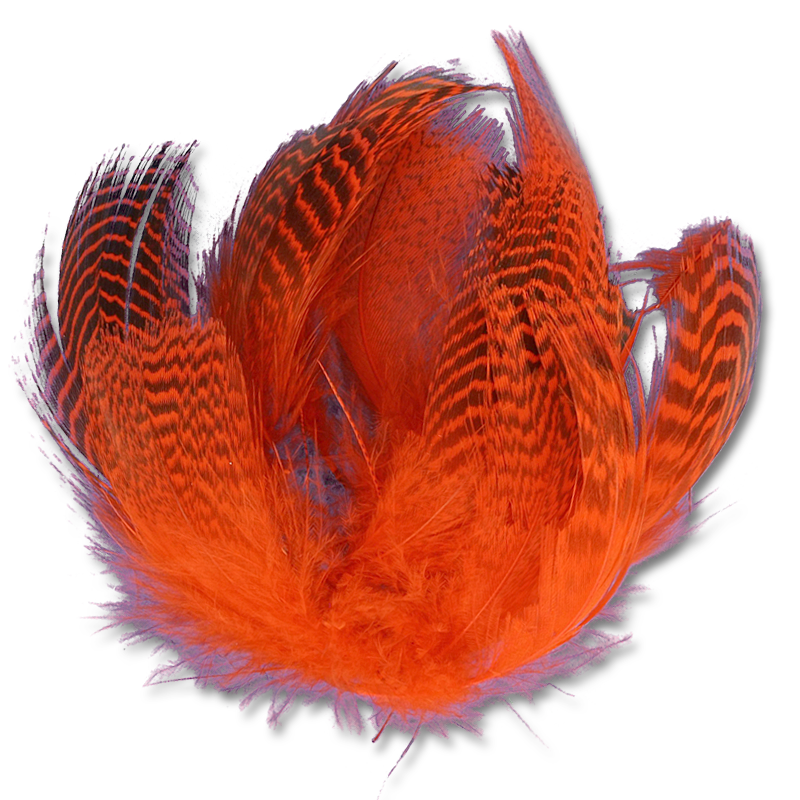 Natural and Dyed Teal Flank