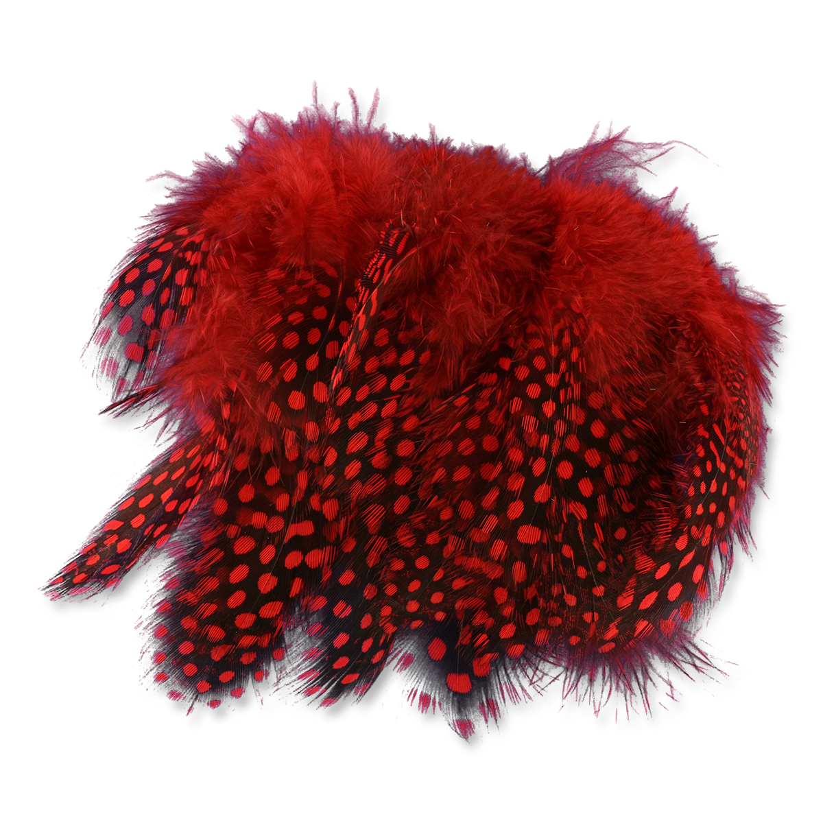 Select Guinea Body Feathers