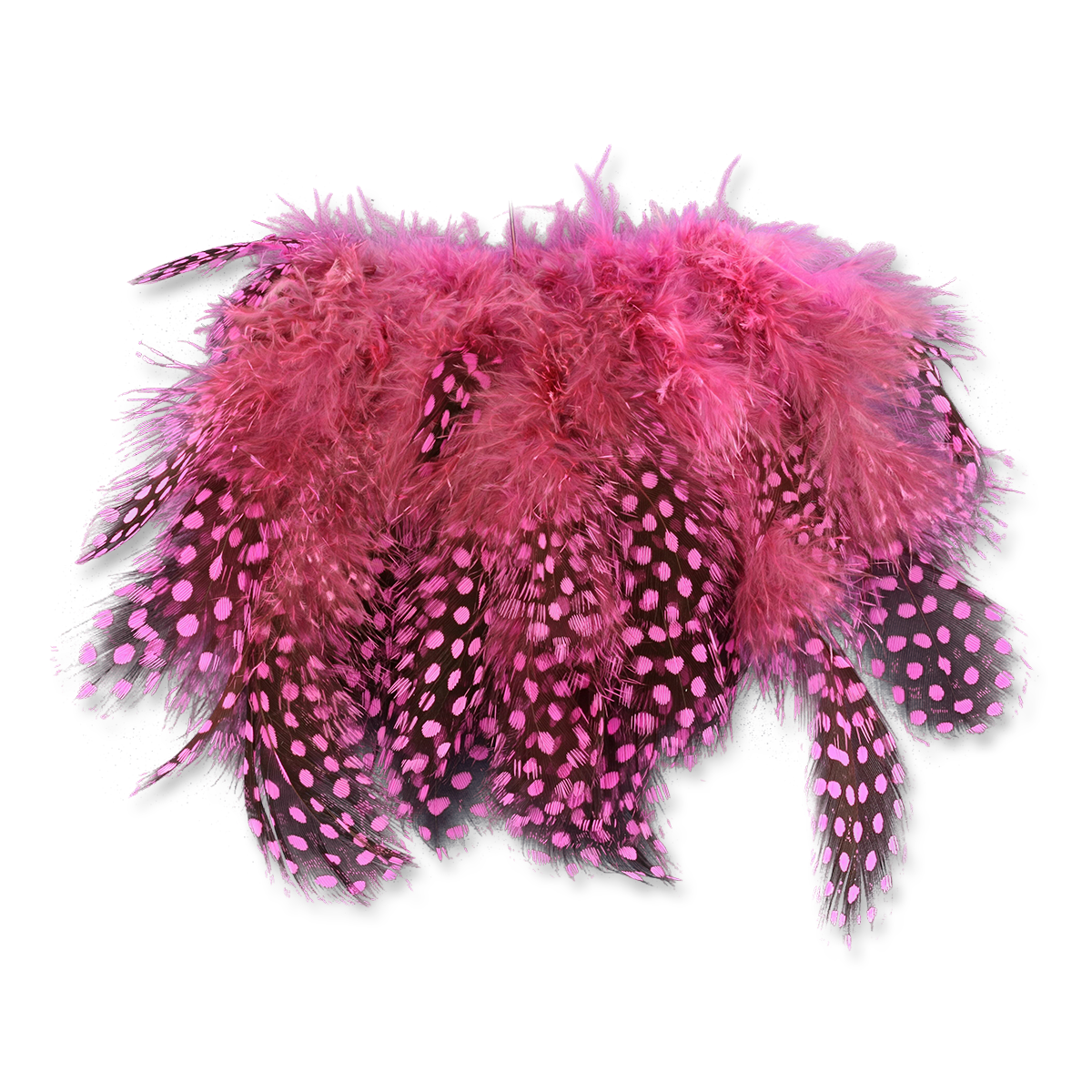 Select Guinea Body Feathers