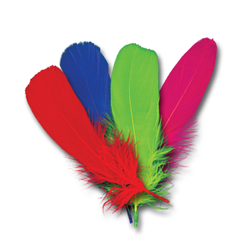 Goose Shoulder Feather