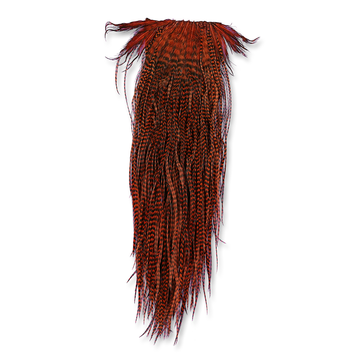 Jay Fair Grizzly Premium Saddles