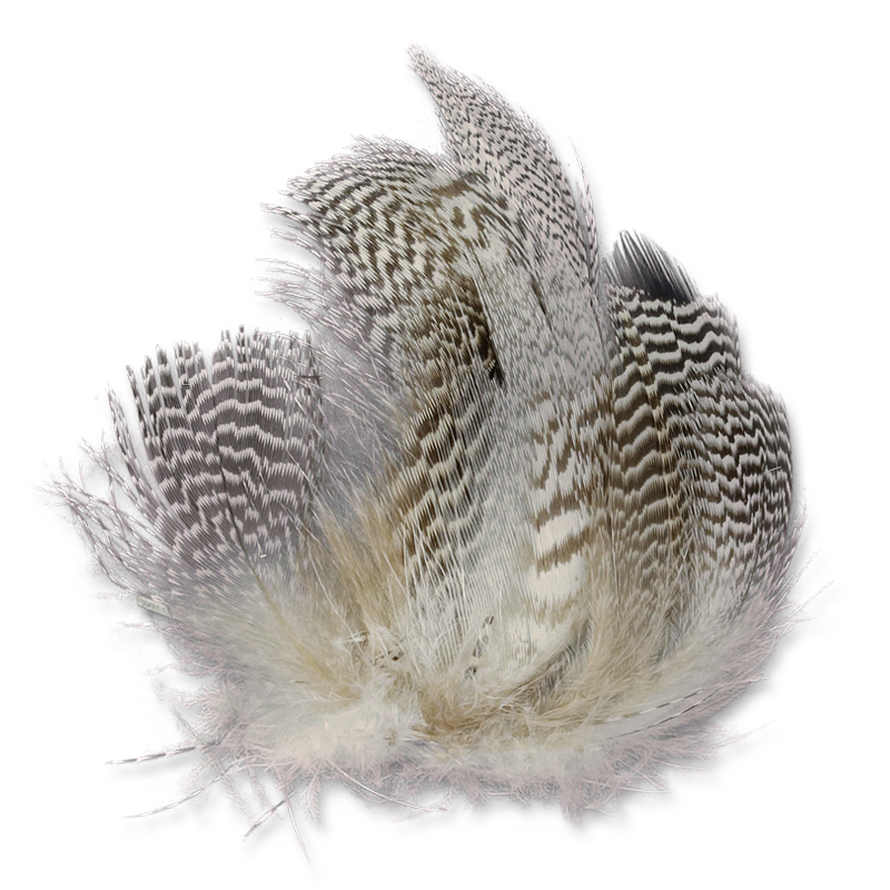 Natural and Dyed Teal Flank