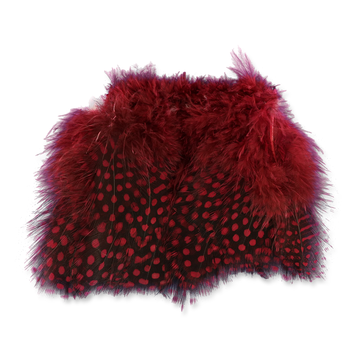 Select Guinea Body Feathers