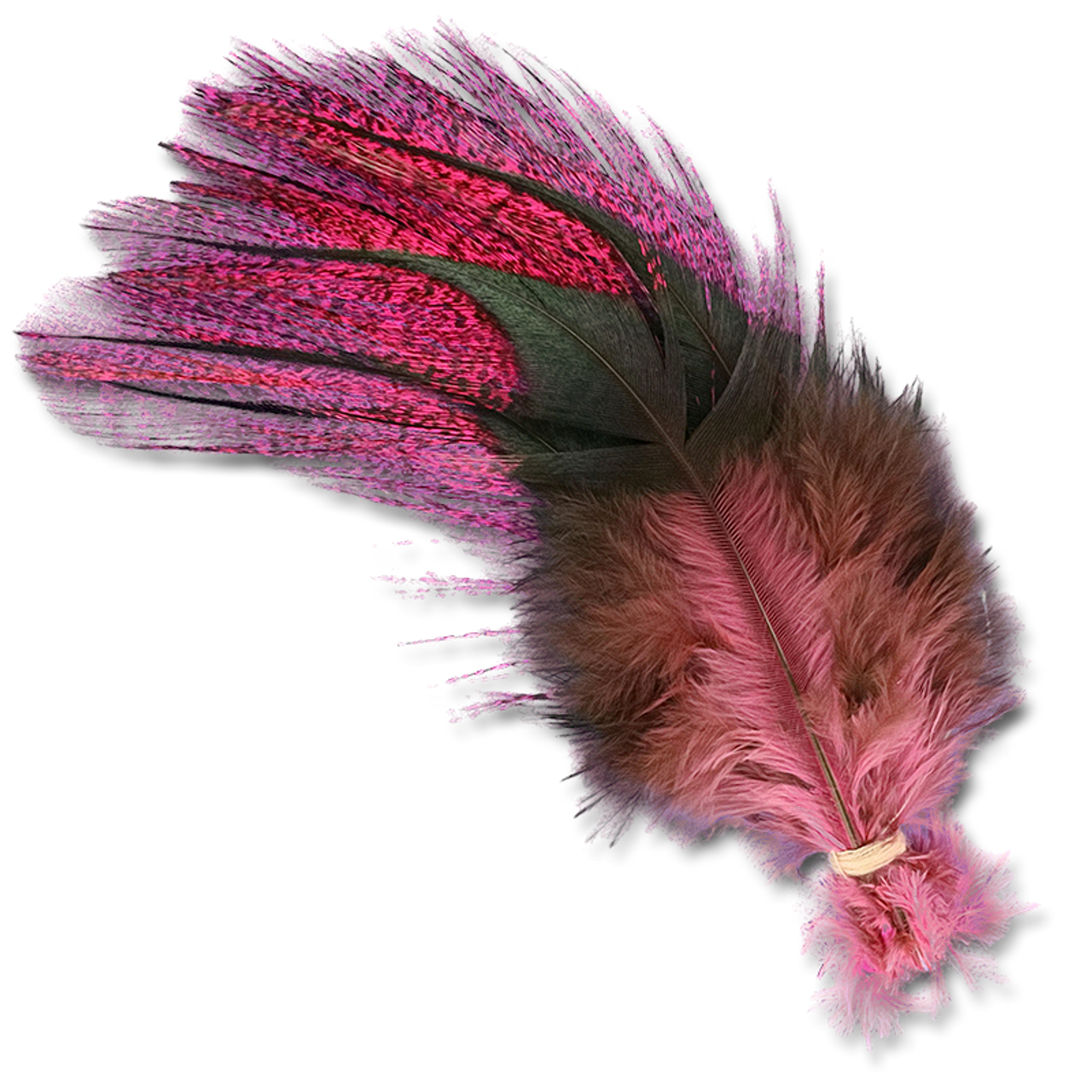 UV2 Coq De Leon Fire Tail Feathers
