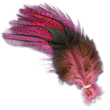 UV2 Coq De Leon Fire Tail Feathers