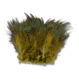 Strung Ringneck Pheasant Rump