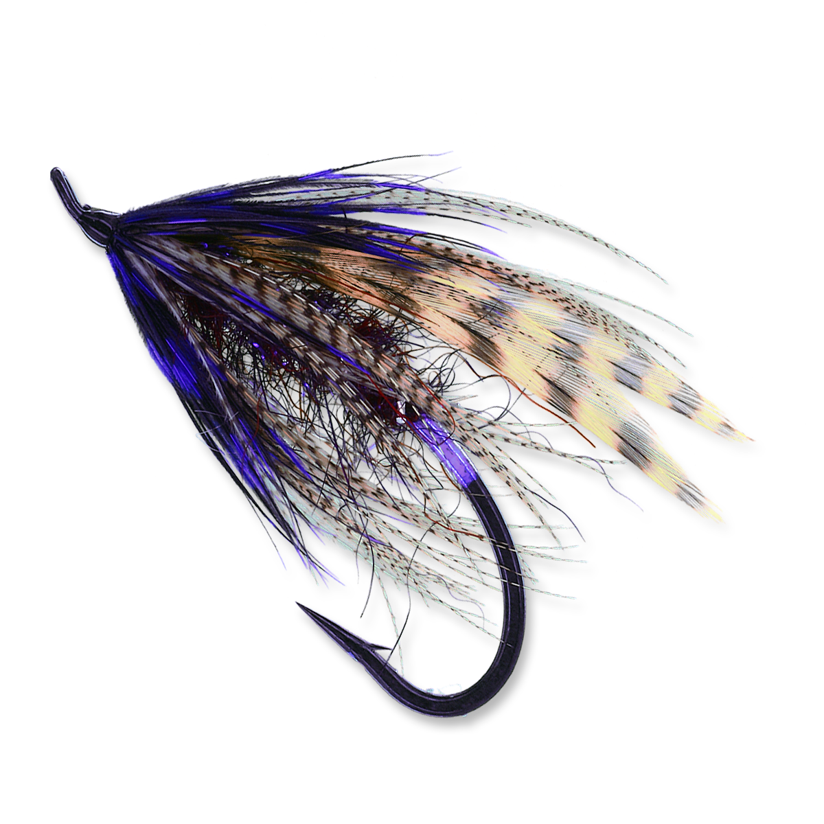 Hartwick's Hilton - #6