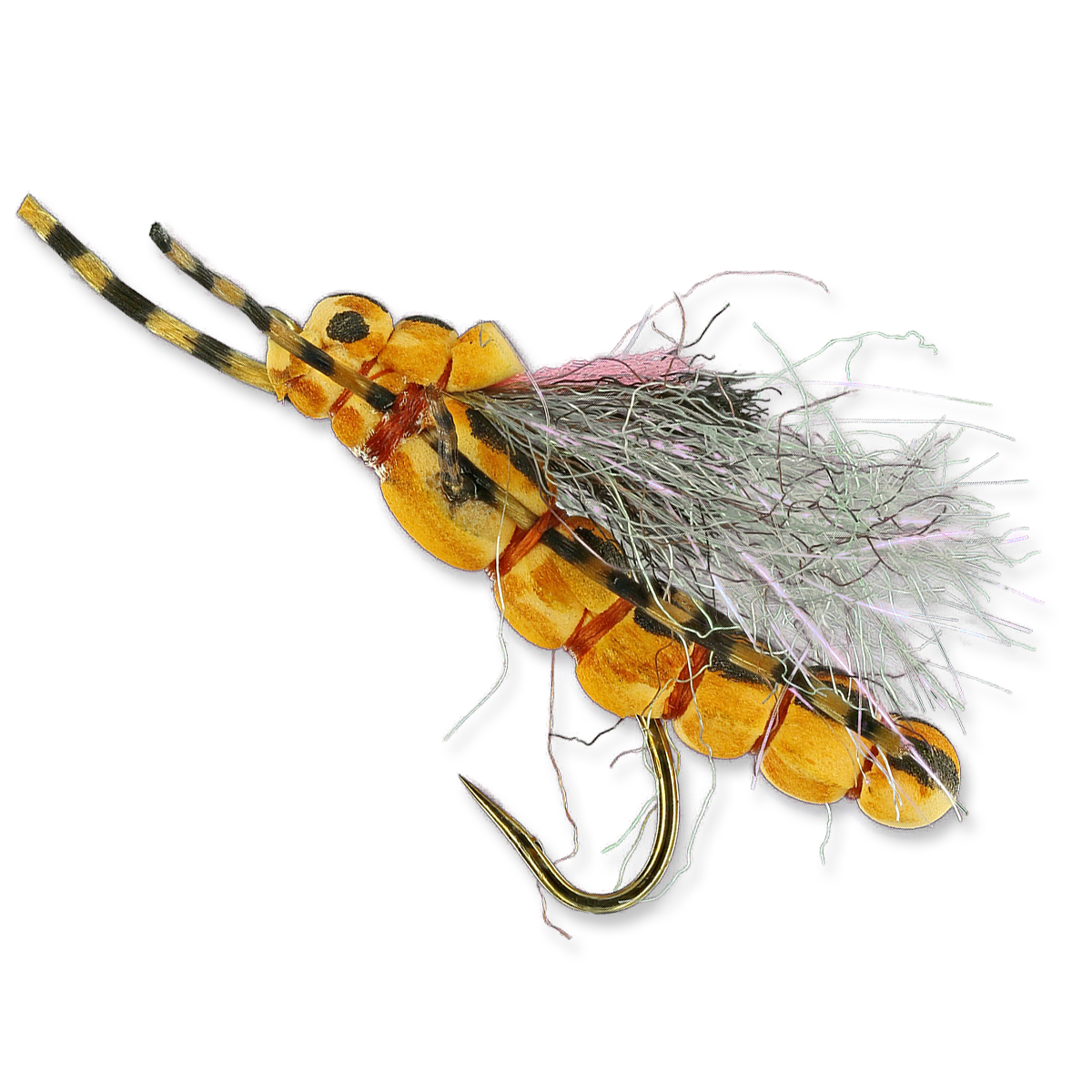 Morning Wood Special