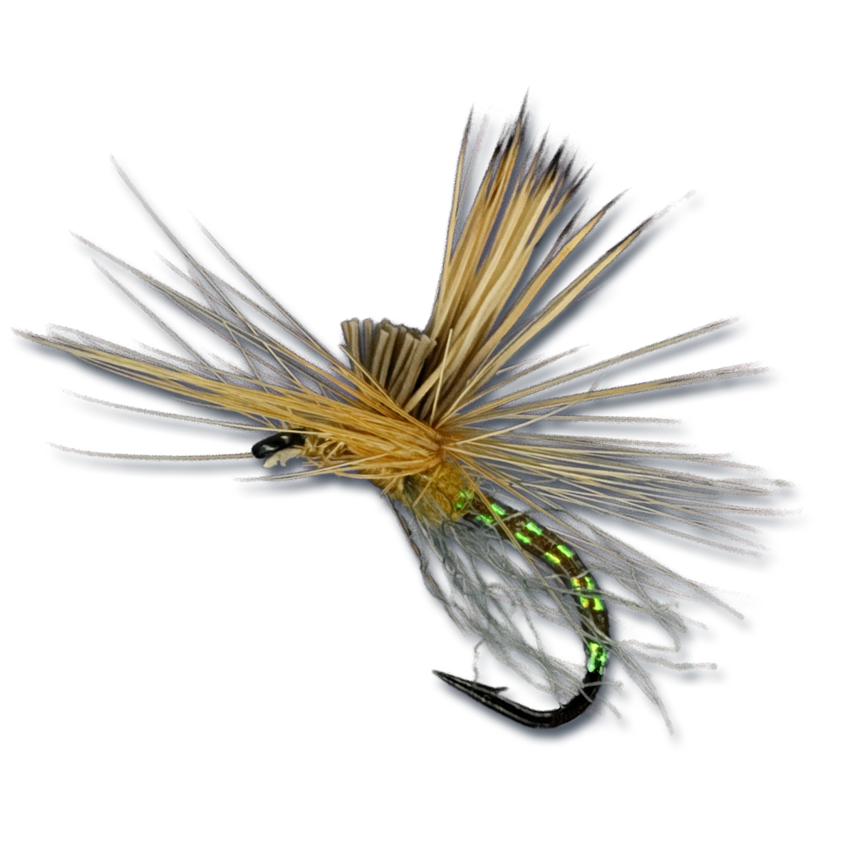 Mercer's Missing Link