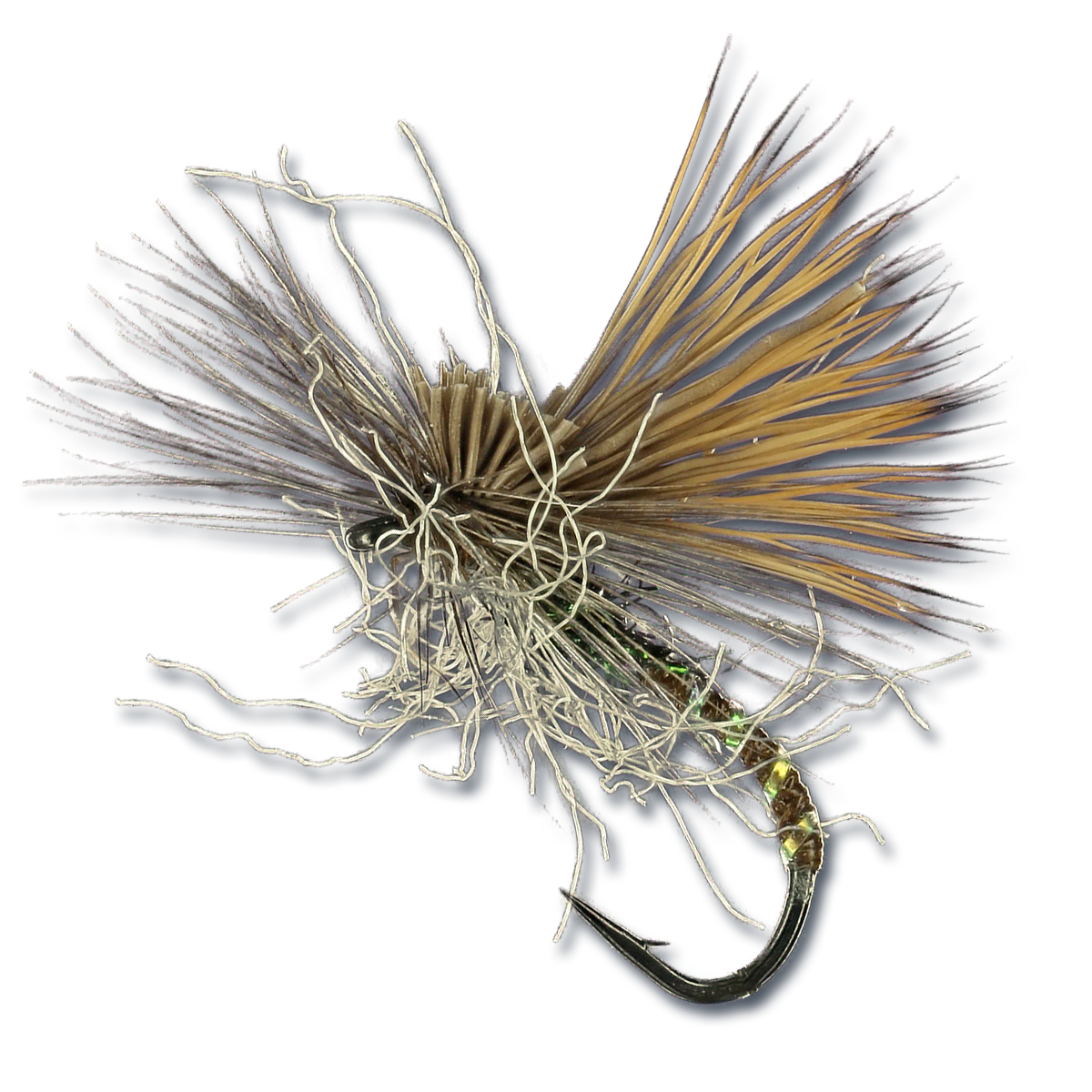 Mercer's Missing Link