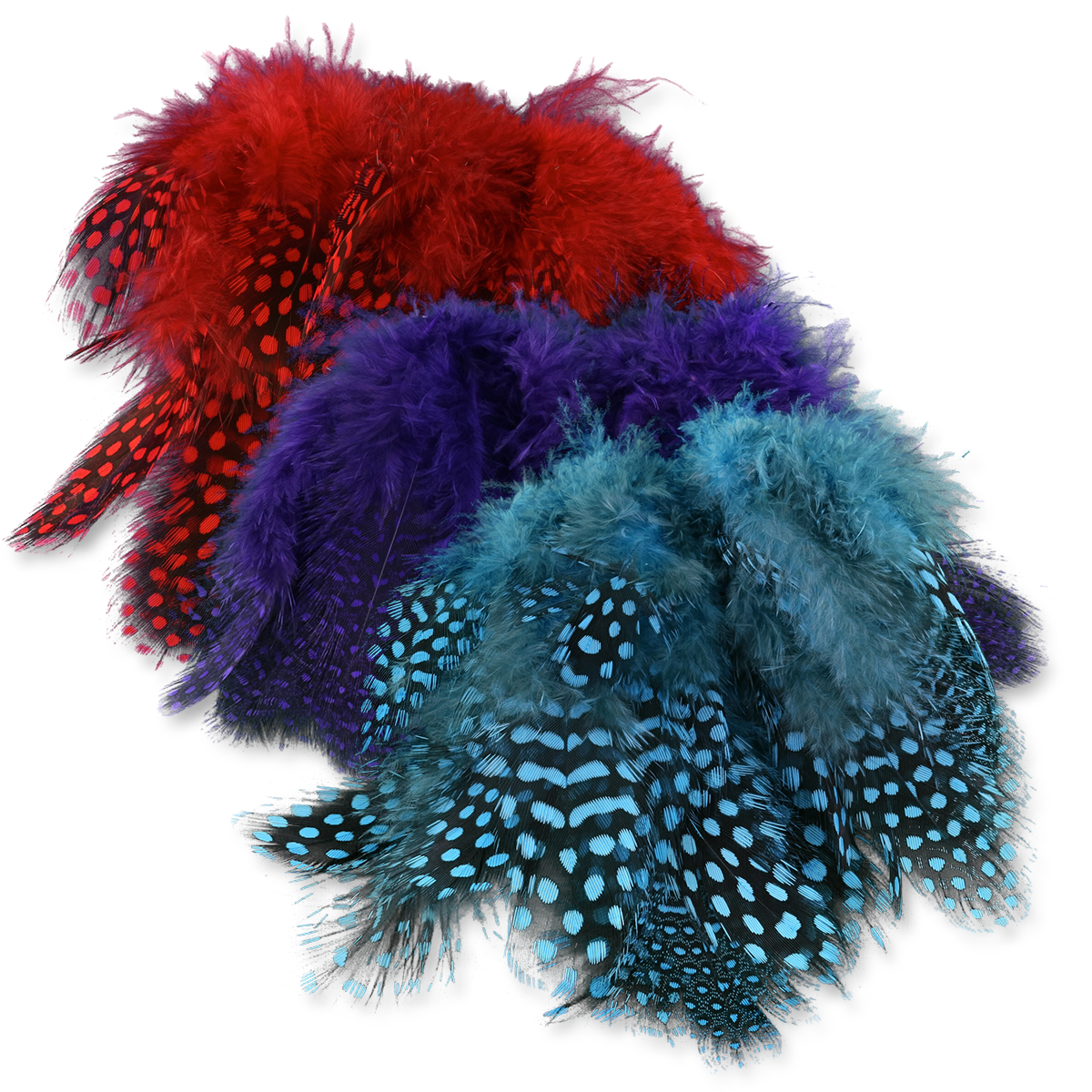 Select Guinea Body Feathers