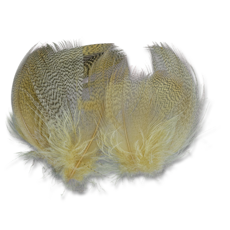 Select Mallard Flank