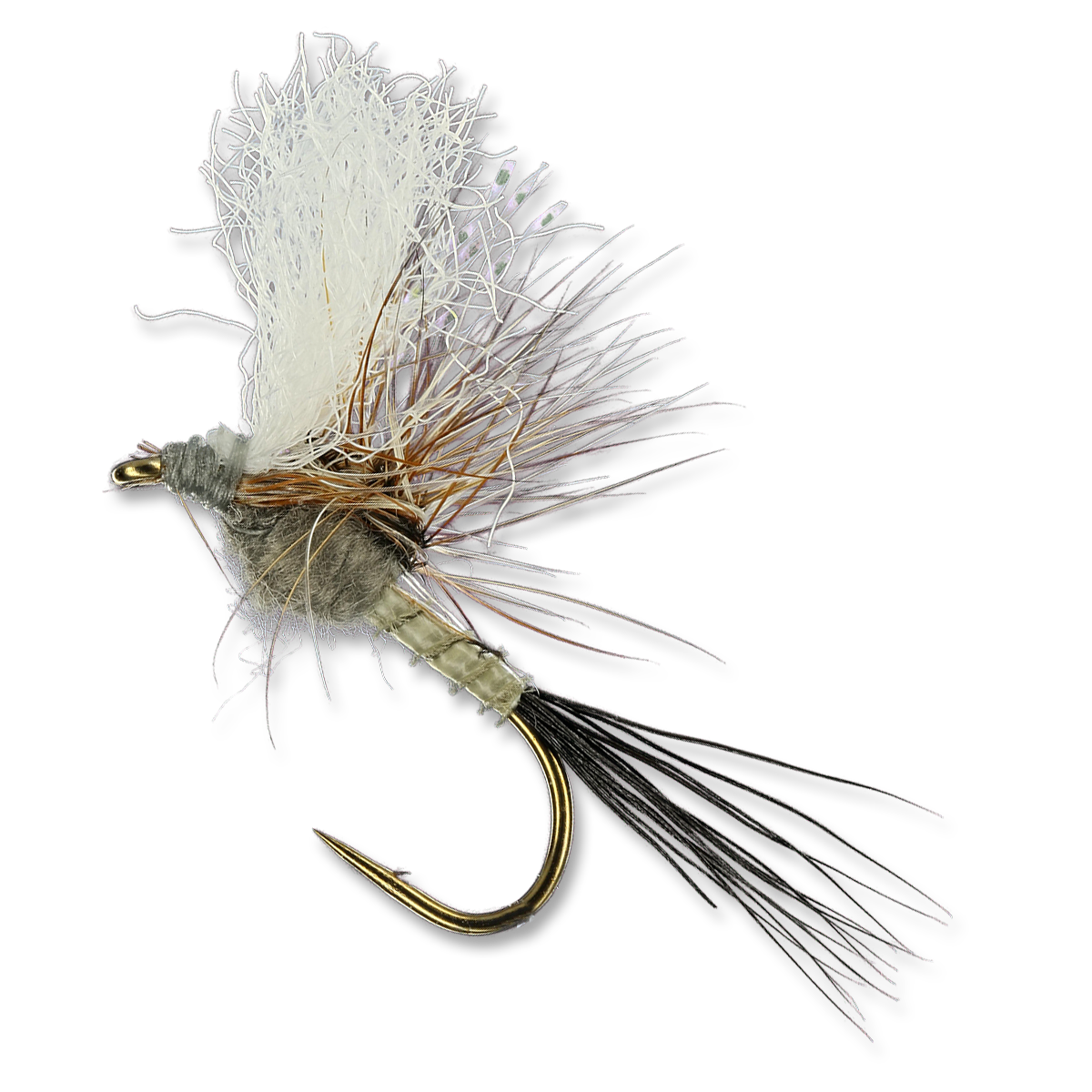 Quigley's Split Flag Adams - #10