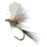 Quigley's Split Flag Adams - #10