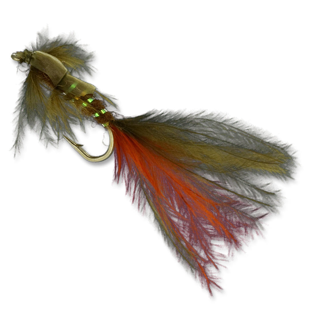 Zack Attack - #14 – The Fly Shop