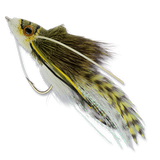 Whitlock's Swimming Frog