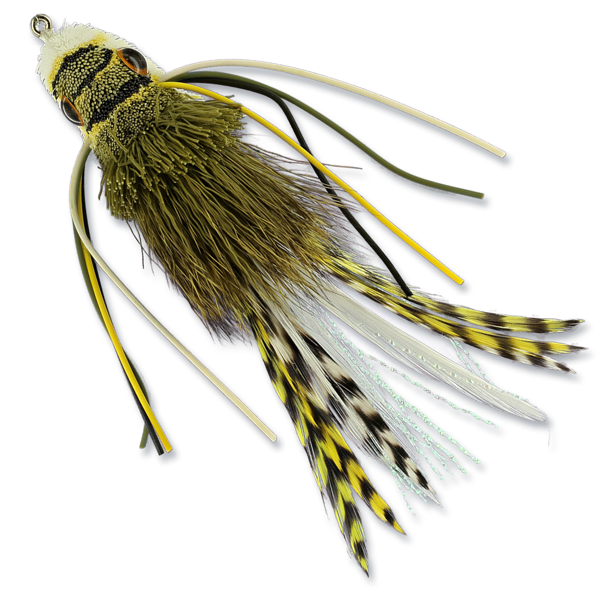 Whitlock's Swimming Frog