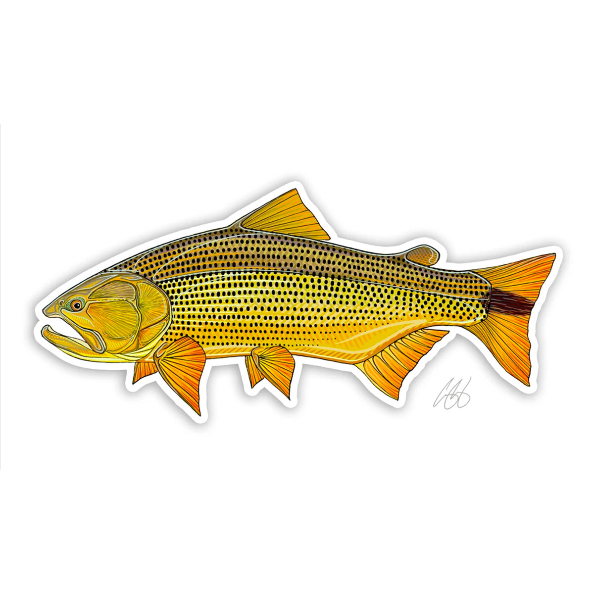 Casey Underwood Fish Decals