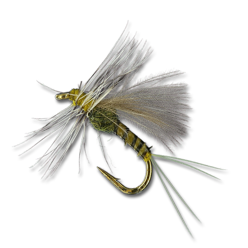 Low Water Baetis - #20