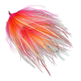 Trailer Trash - #2 Trailer