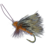 Sedgeback October Caddis - #10