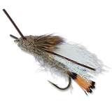 Turck's Tarantula - Tan