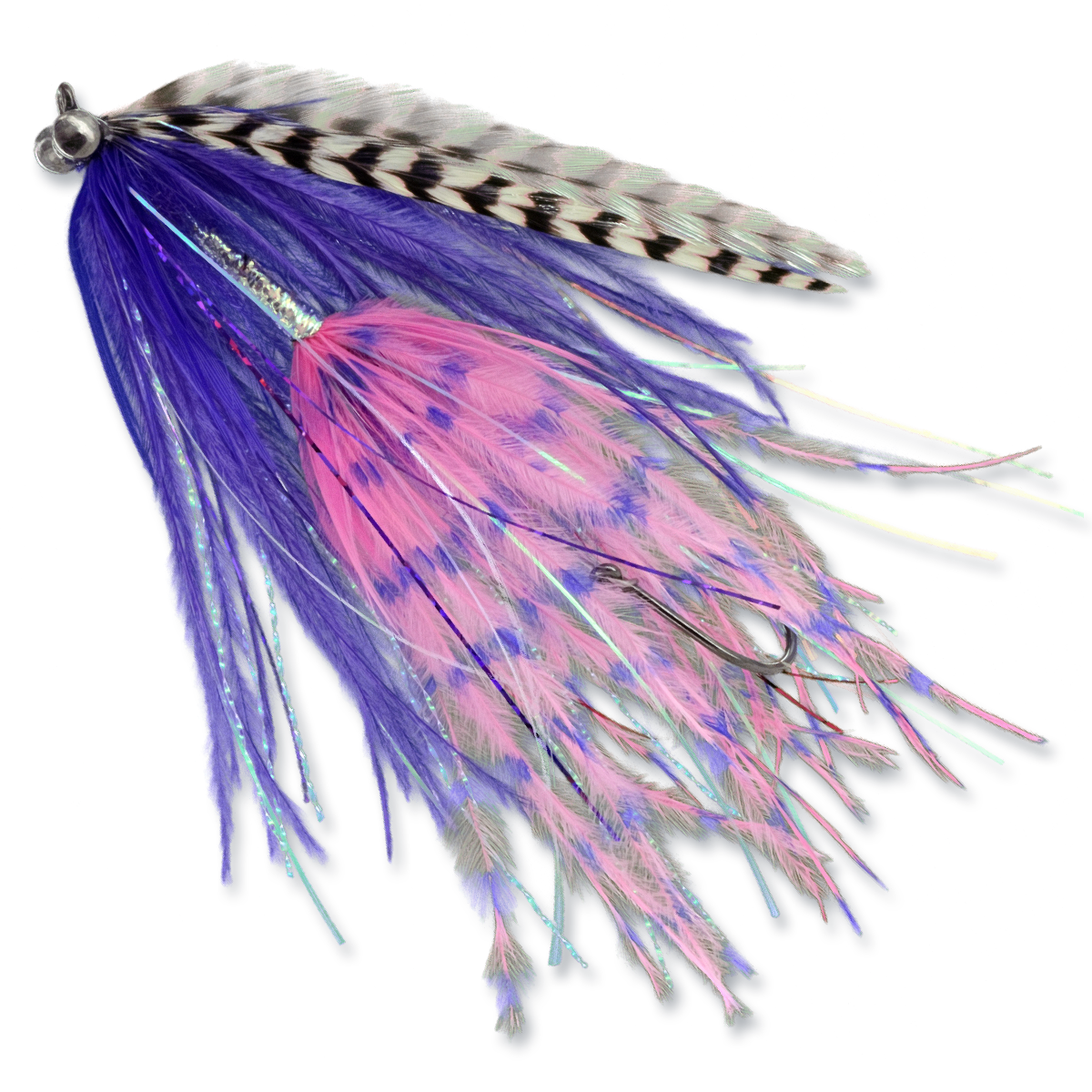 Barred Ostrich Intruders - #2