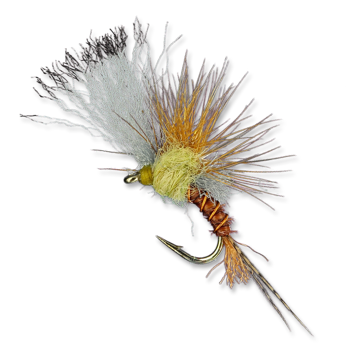 Quigley's Film Critic