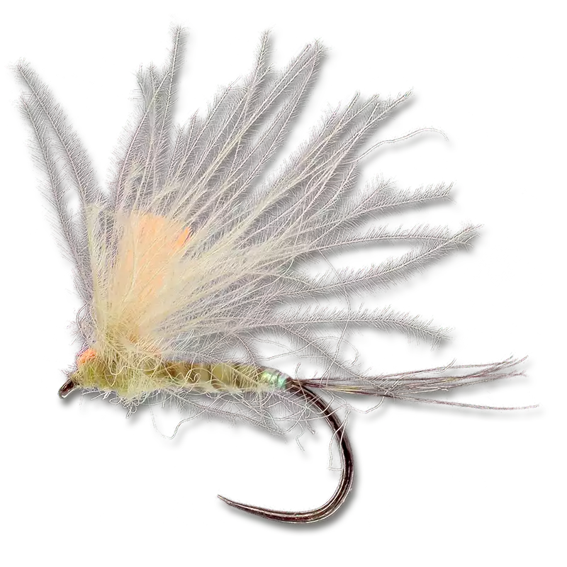 Performance Enhancing Dun