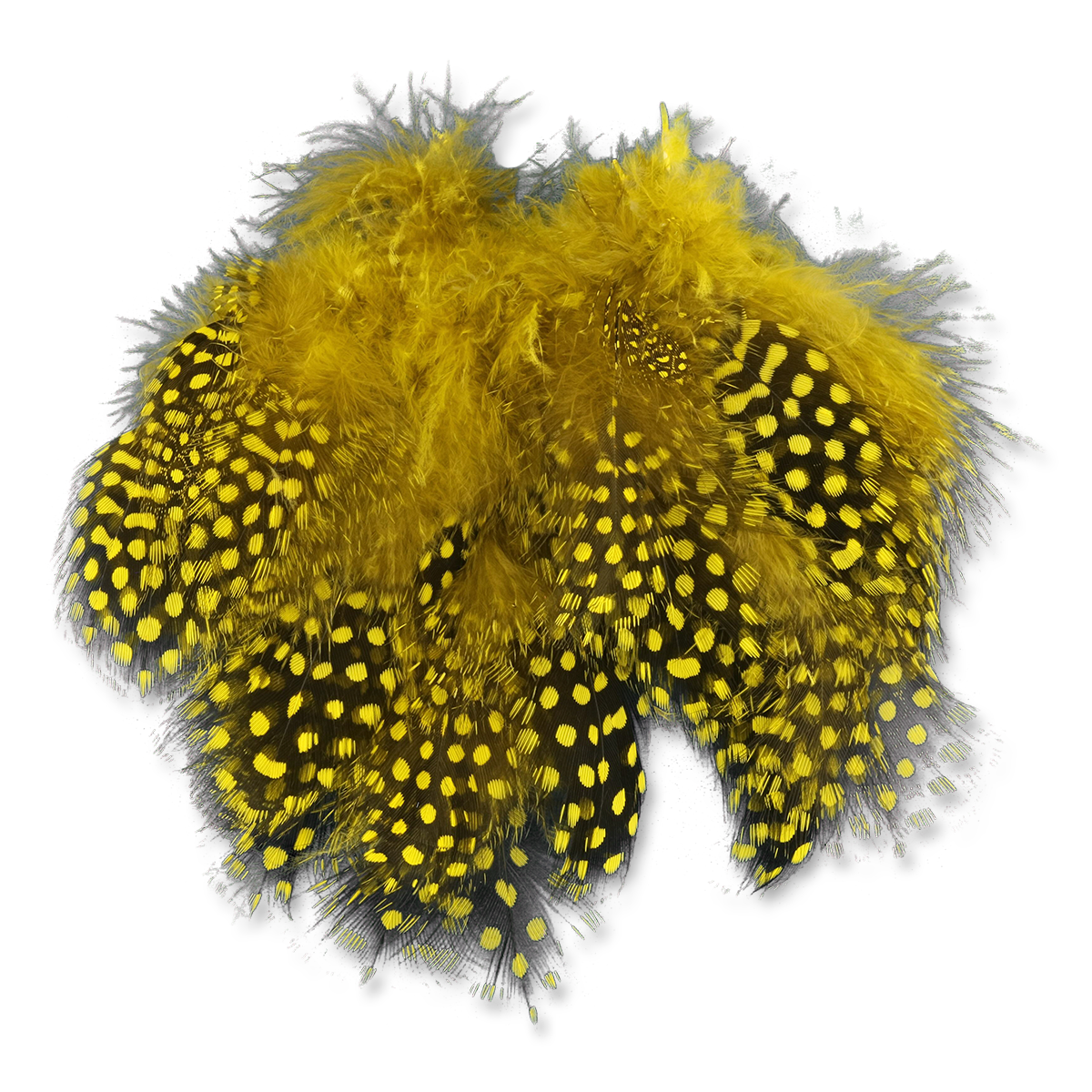 Select Guinea Body Feathers