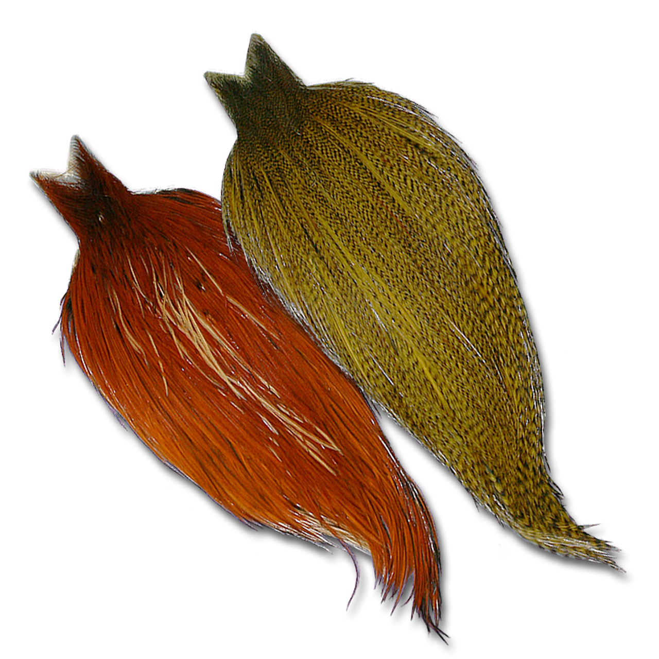 Whiting Farms Cock Necks